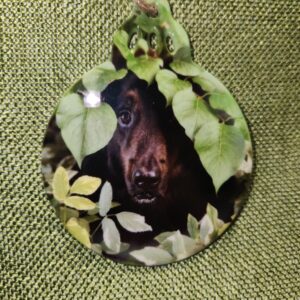 Photo Ornament (Ceramic)