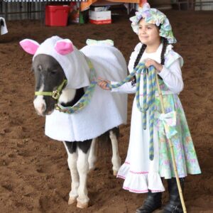 Custom Miniature Horse Costume